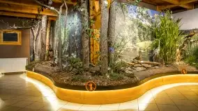 Fotorelacja -  Ogólnopolski Dzień Parków Krajobrazowych w Puszczy Piskiej - zdjęcie 29