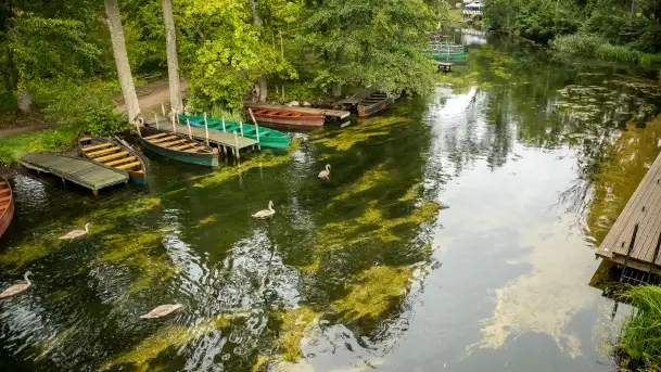 Fotorelacja -  Ogólnopolski Dzień Parków Krajobrazowych w Puszczy Piskiej - zdjęcie 2
