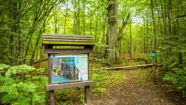 Fotorelacja -  Ogólnopolski Dzień Parków Krajobrazowych w Puszczy Piskiej - zdjęcie 9