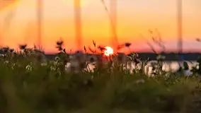 Czerwcowy zachód słońca nad jeziorem Kisajno - zdjęcie 37