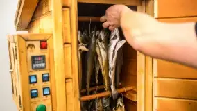 Warsztaty kulinarne w Karwiku - foteralacja - zdjęcie 2