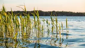 Zachód słońca nad jeziorem Przystań, czerwiec 2022 - zdjęcie 30