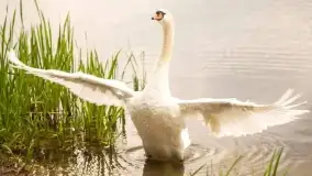 Szczytno i okolice na zdjęciach Marty Sotnik, 2022 - zdjęcie 2