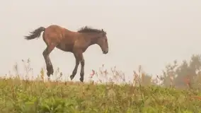 Szczytno i okolice na zdjęciach Marty Sotnik, 2022 - zdjęcie 24