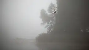 Szczytno i okolice na zdjęciach Marty Sotnik, 2022 - zdjęcie 25