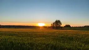 Wiosenny zachód słońca w okolica jeziora Stręgiel - zdjęcie 3