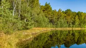 Jezioro Wesołek i puszcza Piska - zdjęcie 8