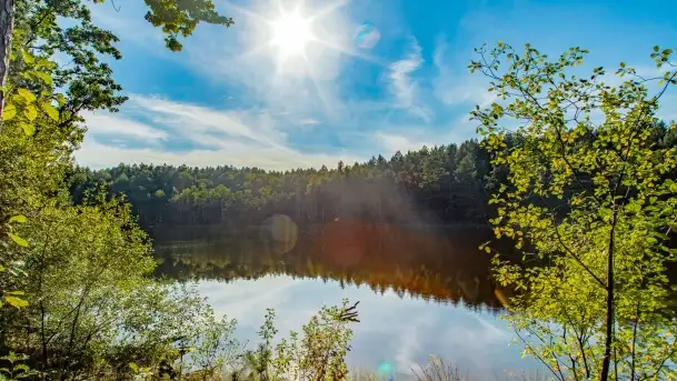 Jezioro Wesołek i puszcza Piska - zdjęcie 4