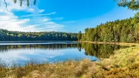 Jezioro Wesołek i puszcza Piska - zdjęcie 22