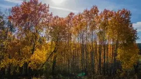 Jesień na mazurskich traktach, polach i łąkach, październik 2022 - zdjęcie 4