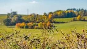 Jesień na mazurskich traktach, polach i łąkach, październik 2022 - zdjęcie 72