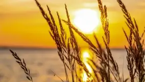 Zachód słońca w Pieczarkach, jezioro Dargin, lipiec 2022 - zdjęcie 21