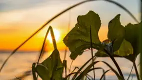 Zachód słońca w Pieczarkach, jezioro Dargin, lipiec 2022 - zdjęcie 12