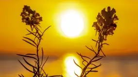 Zachód słońca w Pieczarkach, jezioro Dargin, lipiec 2022 - zdjęcie 37