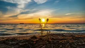 Zachód słońca w Pieczarkach, jezioro Dargin, lipiec 2022 - zdjęcie 22