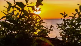 Zachód słońca w Pieczarkach, jezioro Dargin, lipiec 2022 - zdjęcie 33