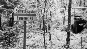 Wilczy Szaniec, cz. 2, czyli wracamy do przeszłości... - zdjęcie 79