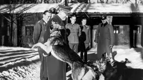 Wilczy Szaniec, cz. 2, czyli wracamy do przeszłości... - zdjęcie 85