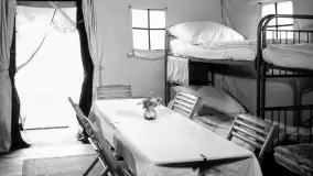 Wilczy Szaniec, cz. 2, czyli wracamy do przeszłości... - zdjęcie 86