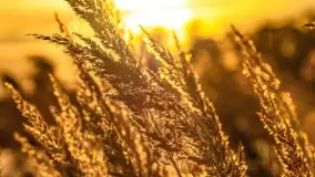 Zachód słońca w Rynie, październik 2022 - zdjęcie 29