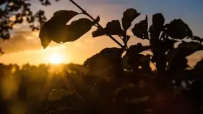 Jesienny zachód słońca nad jeziorem Mój, październik 2022 - zdjęcie 23