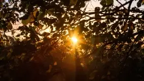 Jesienny zachód słońca nad jeziorem Mój, październik 2022 - zdjęcie 20