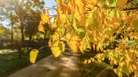 Fotograficzne podsumowanie jesieni na Mazurach 2022 - zdjęcie 95