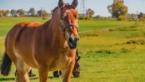 Fotograficzne podsumowanie jesieni na Mazurach 2022 - zdjęcie 141
