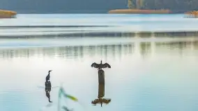 Fotograficzne podsumowanie jesieni na Mazurach 2022 - zdjęcie 104