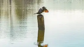 Fotograficzne podsumowanie jesieni na Mazurach 2022 - zdjęcie 128