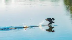 Fotograficzne podsumowanie jesieni na Mazurach 2022 - zdjęcie 60