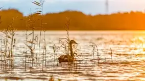 Fotograficzne podsumowanie jesieni na Mazurach 2022 - zdjęcie 132