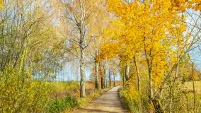 Fotograficzne podsumowanie jesieni na Mazurach 2022 - zdjęcie 143