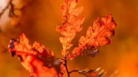 Fotograficzne podsumowanie jesieni na Mazurach 2022 - zdjęcie 162