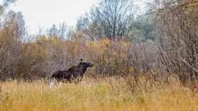 Fotograficzne podsumowanie jesieni na Mazurach 2022 - zdjęcie 159
