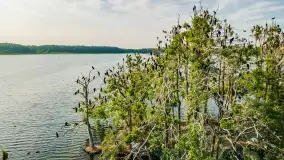 Mazurskie, przypadkowe obrazki z lata 2022 - zdjęcie 33