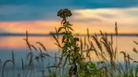 Zachód słońca nad jeziorem Dargin, wrzesień 2022 - zdjęcie 26