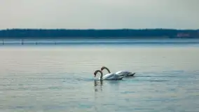 Zachód słońca nad jeziorem Dargin, wrzesień 2022 - zdjęcie 7