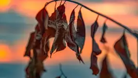 Zachód słońca nad jeziorem Dargin, wrzesień 2022 - zdjęcie 24