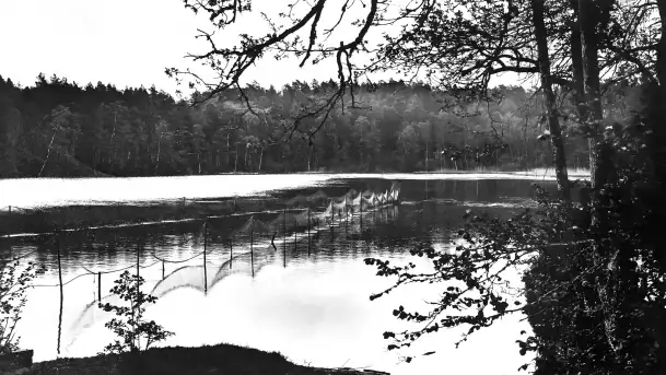 Cień historii - rzeka Krutynia i okolice na przedwojennych zdjęciach - zdjęcie 10