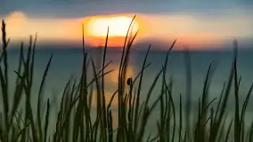 Pochmurny zachód słońca w Pierkunowie nad Kisajnem - zdjęcie 9