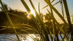 Zachód słońca nad jeziorem Dejgunek - zdjęcie 10