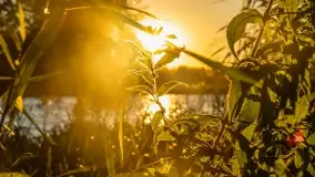 Zachód słońca nad jeziorem Dejgunek - zdjęcie 11