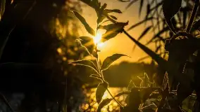 Zachód słońca nad jeziorem Dejgunek - zdjęcie 20