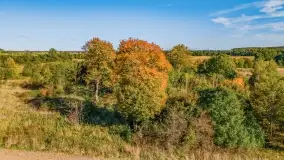 Kolory wrześniowych Mazur - zdjęcie 28