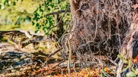 Kolory wrześniowych Mazur - zdjęcie 77