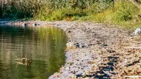 Kolory wrześniowych Mazur - zdjęcie 80