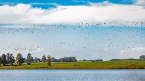 Kolory wrześniowych Mazur - zdjęcie 61