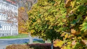 Jesienny Kętrzyn, październik 2022 - zdjęcie 17