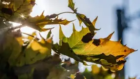 Jesienny Kętrzyn, październik 2022 - zdjęcie 5